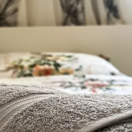Cozy At 아파트 *